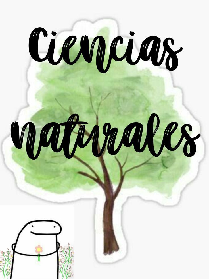 Ciencias Naturales 